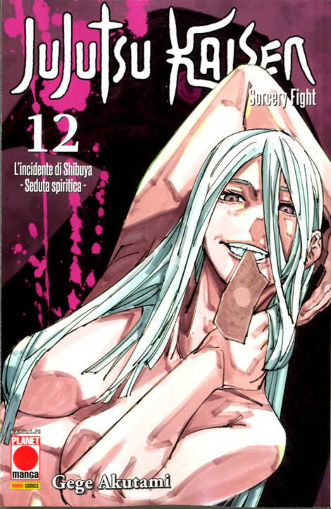 Jujutsu Kaisen 12