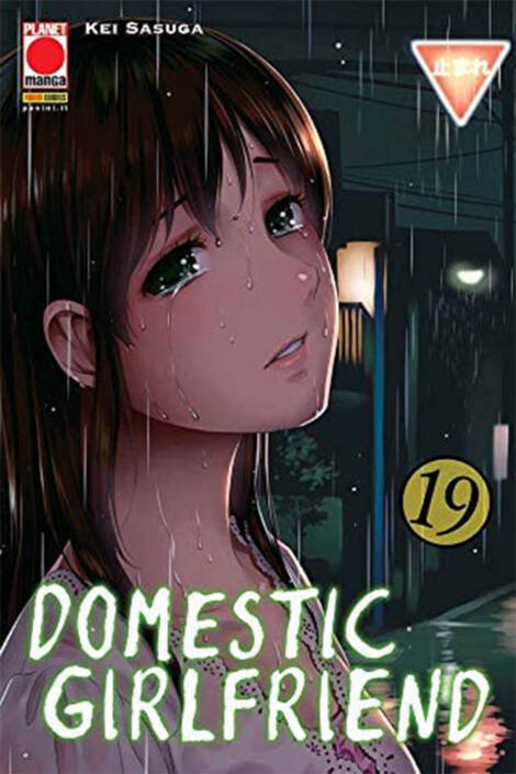Domestic Girlfriend 19