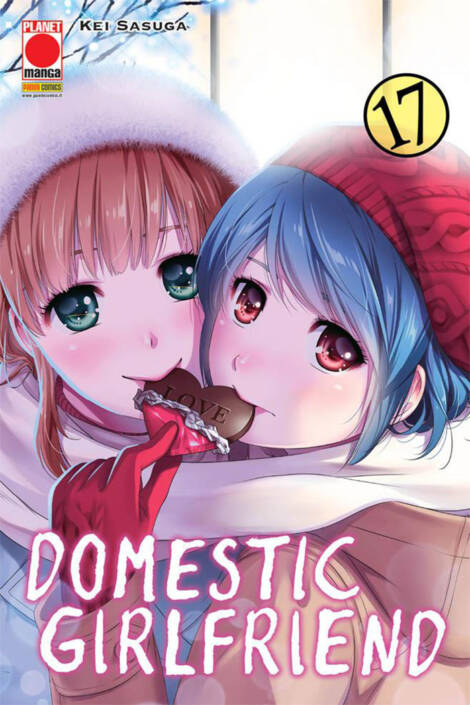 Domestic Girlfriend 17