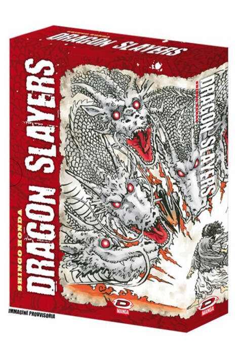 Dragon slayers - Box