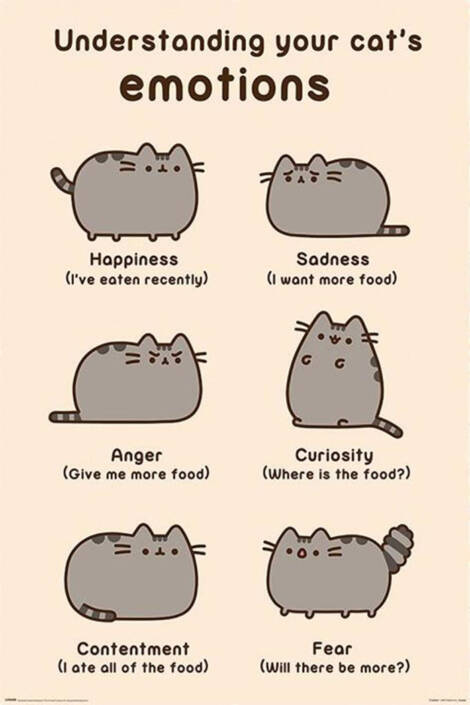 Pusheen cat - Poster