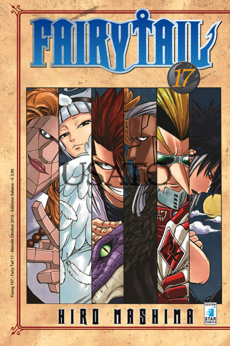 Fairy tail 17
