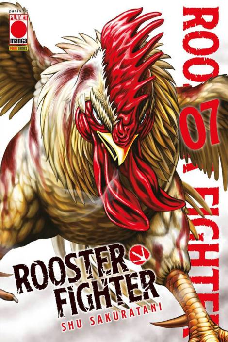 Rooster fighter 7