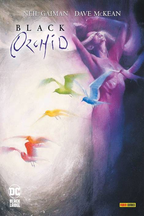 Black Orchid - DC Limited Collector's Edition