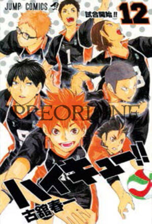 PREORDINE Haikyu!! Club 12
