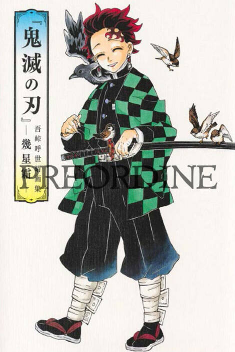 PREORDINE Demon slayer - Illustration book: Nel corso del tempo