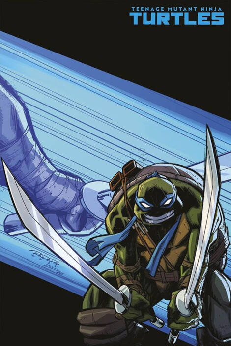 Teenage mutant ninja turtles #8 - Variant edition