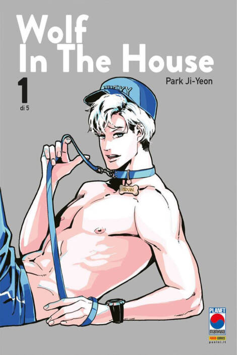 Wolf in the house 1