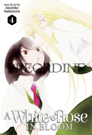 PREORDINE A white rose in bloom 4