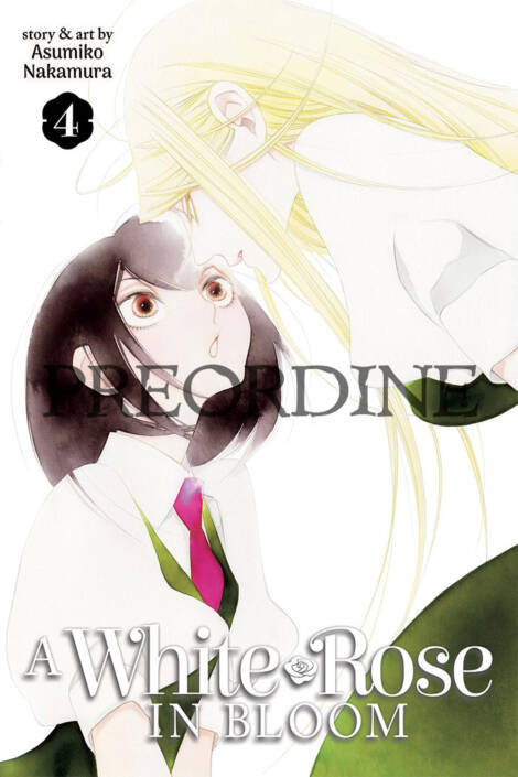 PREORDINE A white rose in bloom 4