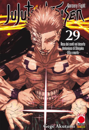 Jujutsu Kaisen 29