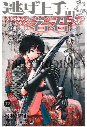 PREORDINE The elusive samurai 17