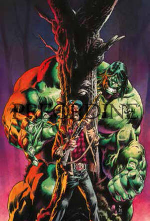 PREORDINE Hulk #132 (29)