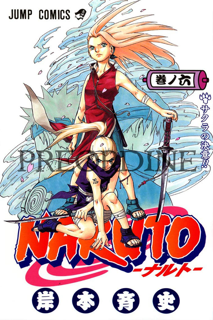PREORDINE Naruto - Color new edition 06
