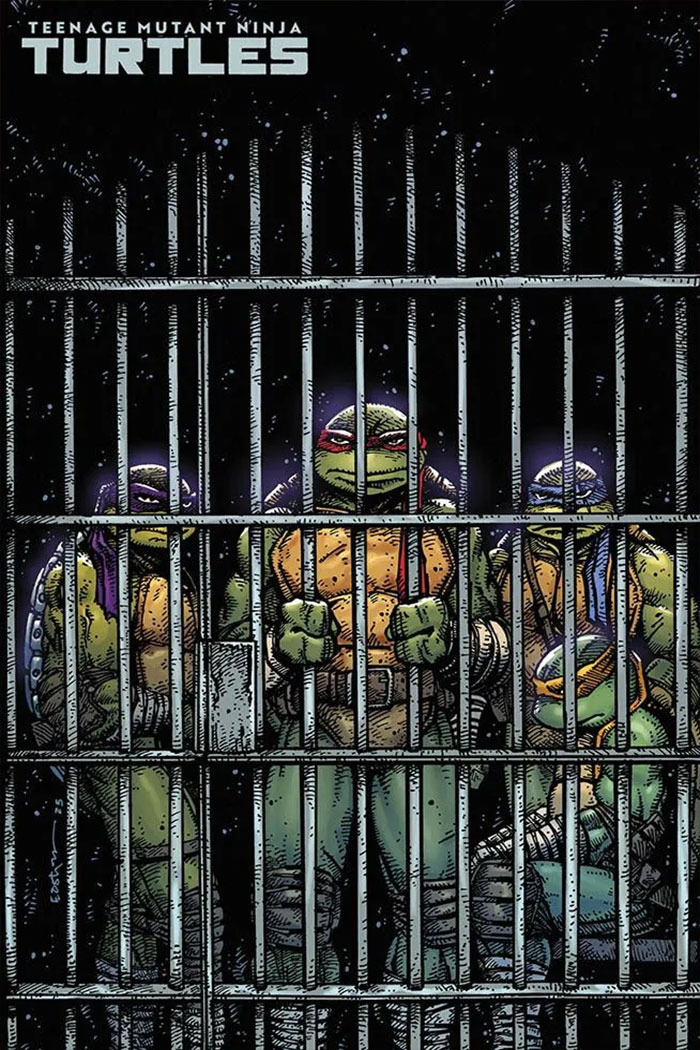 Teenage mutant ninja turtles #11 - Variant edition