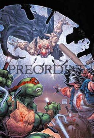 PREORDINE Teenage mutant ninja turtles #17