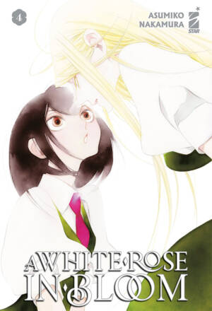 A white rose in bloom 4