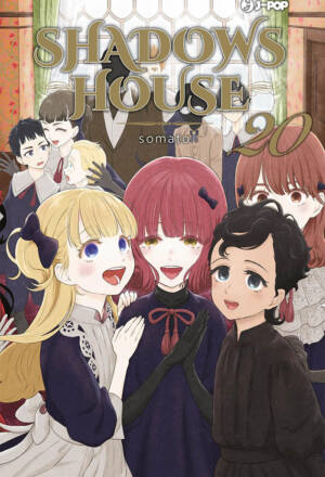 Shadows house 20