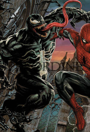 PREORDINE Spider-man #894 (17) - Variant amazing visions di Lee Bermejo 13 di 25