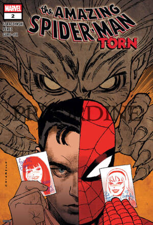 PREORDINE Spider-man #895 (Divisi 2)
