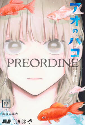 PREORDINE Blue box 17