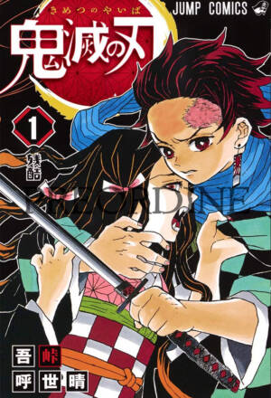 PREORDINE Demon slayer: New edition 01