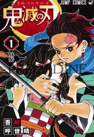 PREORDINE Demon slayer: New edition 01 - Anniversary edition