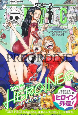 PREORDINE One piece: Novel - Heroines 2