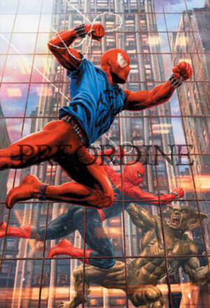 PREORDINE Spider-man #896 (18) - Variant amazing visions di Lee Bermejo 15 di 25