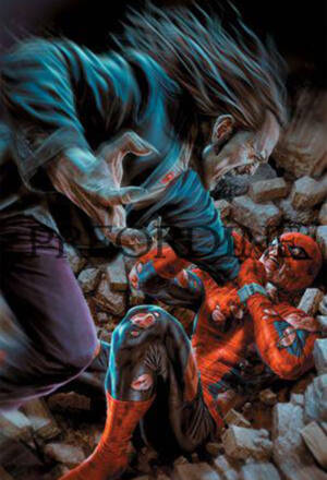 PREORDINE Spider-man #897 (Divisi 3) - Variant amazing visions di Lee Bermejo 16 di 25