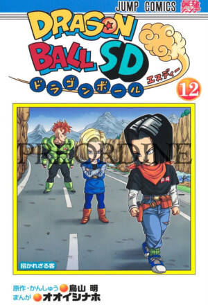 PREORDINE Dragon ball SD 12